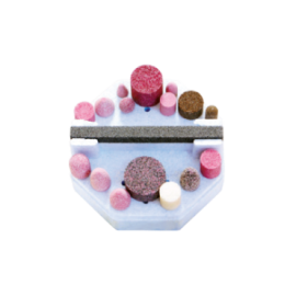 Expositor para 17 Muelas...