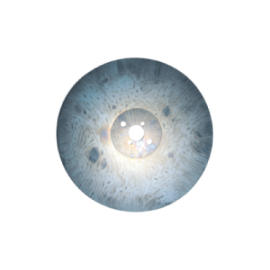 Disco de Aço Ø 250 mm para...