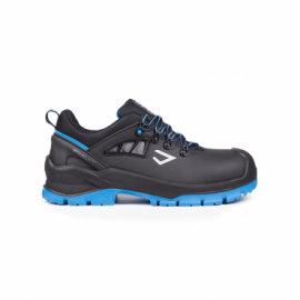Dolphin Black Safety Shoe...