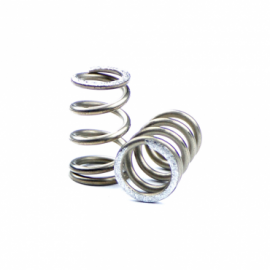 Pressure spring stainless...