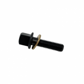 FORZA M10-10 Screw and Washer