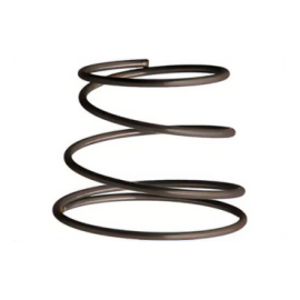 Juego de 5 Resortes 41710...