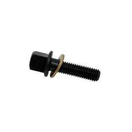 FORZA M8-8 Screw and Washer