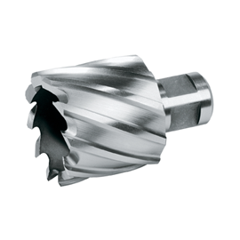 Brocas Craneanas HSS com...