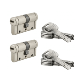 2 Cañones Niquelados para...